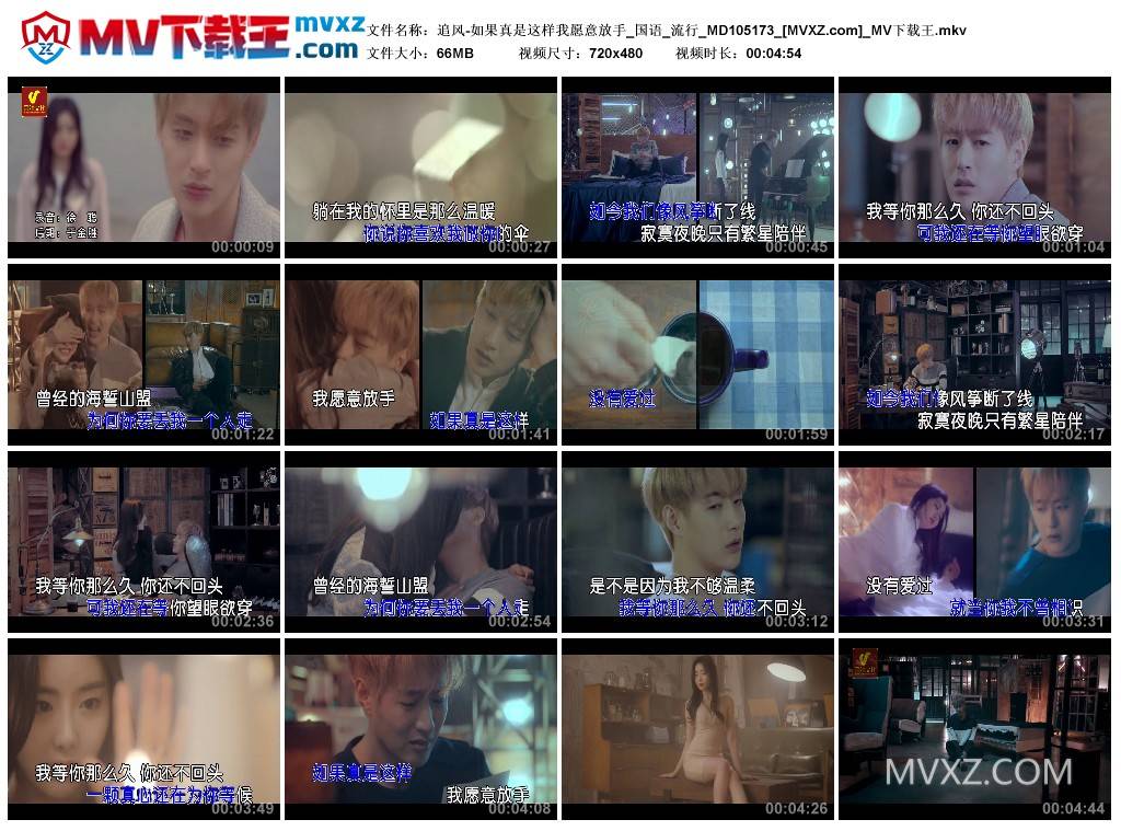 追风-如果真是这样我愿意放手_国语_流行_MD105173